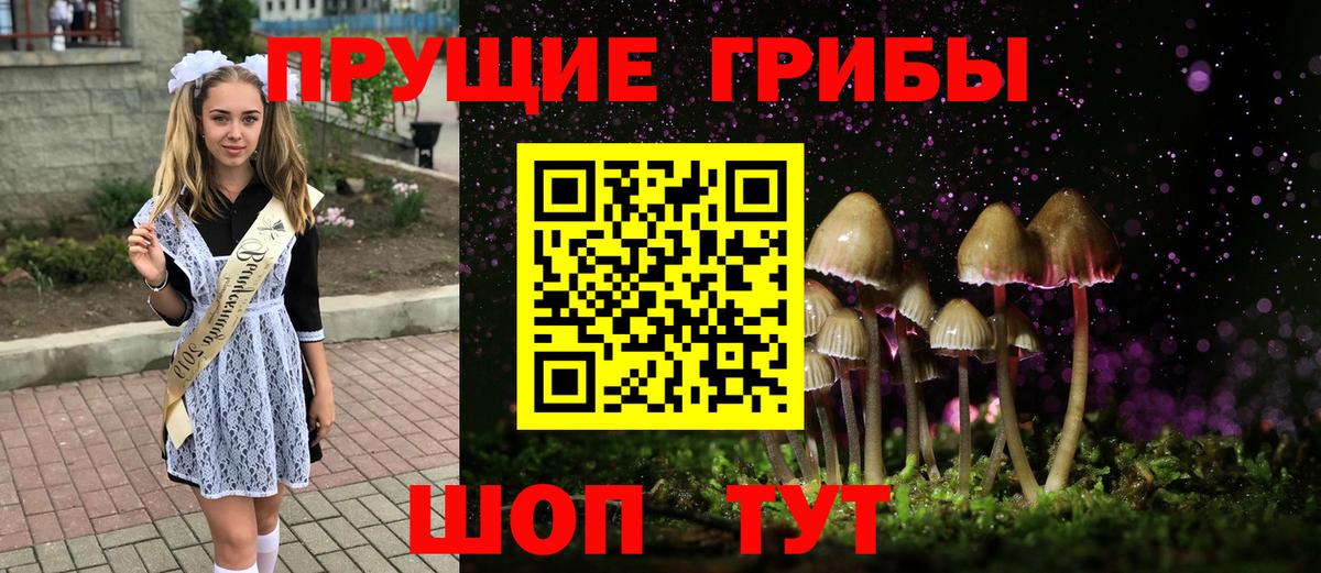 закладки  Галлюциногенные грибы мухоморы  Вход с VPN  Видное 